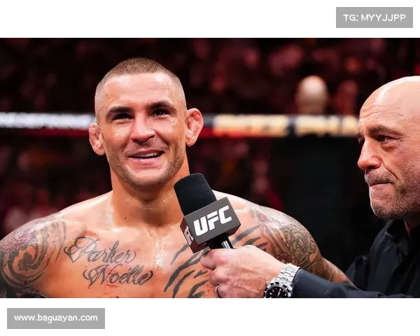 ufc148比赛全程 ufc148比赛全程